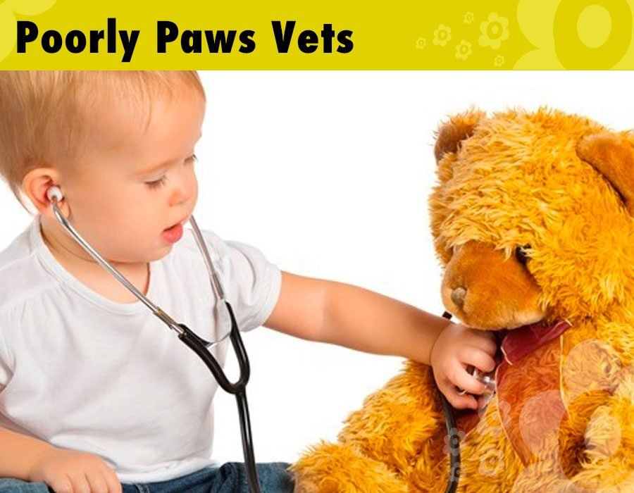 Animal themed vets play area for children and toddlers. Children care for animals in our role play experience