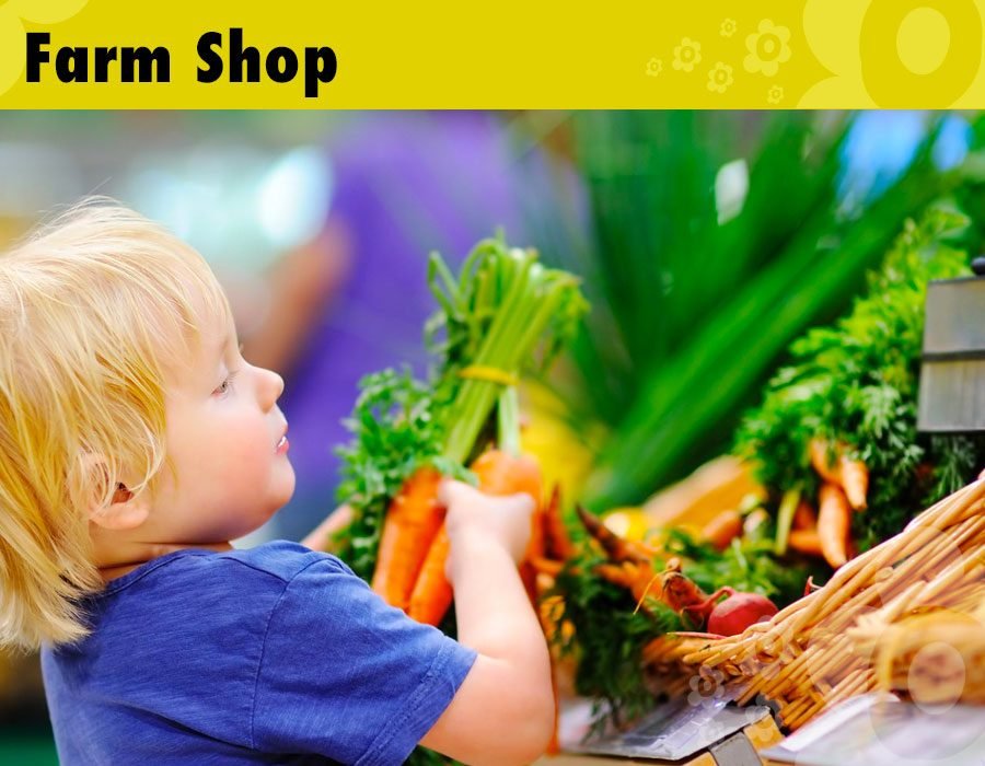 Make believe role play farm shop where children pretend to buy and sell Dorset produce