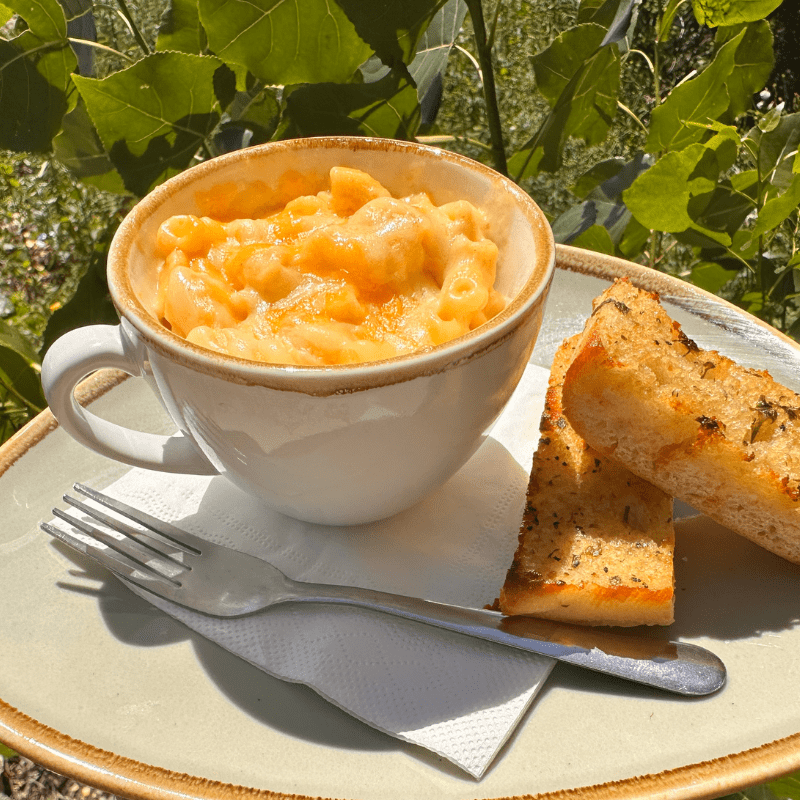 New Summer menu with family friendly favourites and healthy options