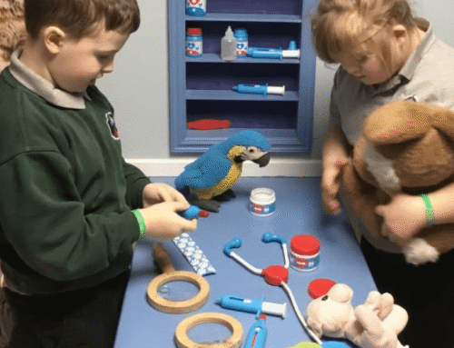 Soft Play vs Role Play