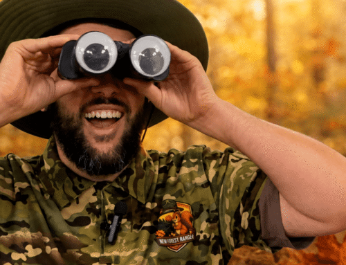 Autumn Activities for Children Near Bournemouth